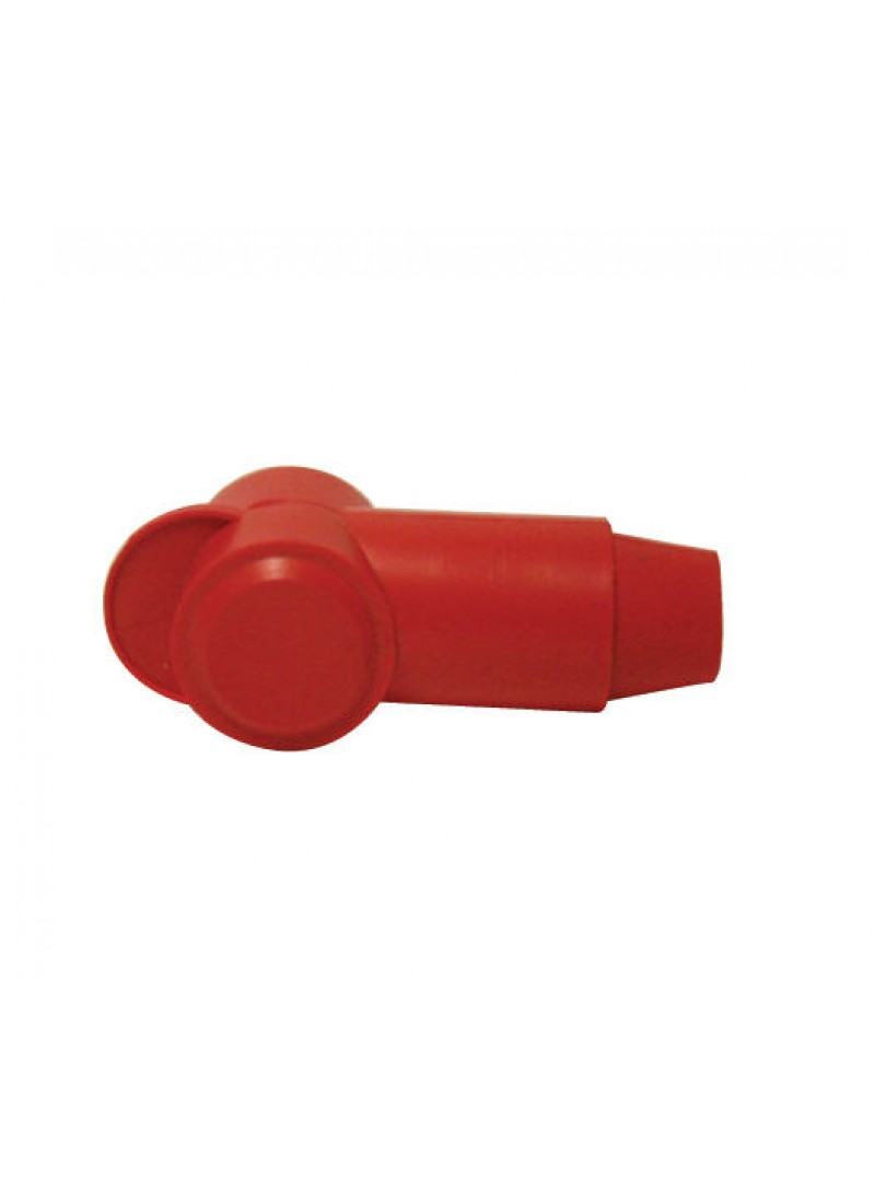 Battery terminal boots